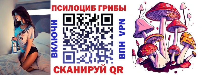 Галлюциногенные грибы мицелий  Покачи 